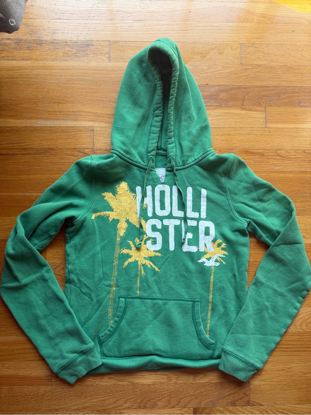 Vintage Y2K Hollister Green Palm Tree Graphic Hoodie - Size Large
